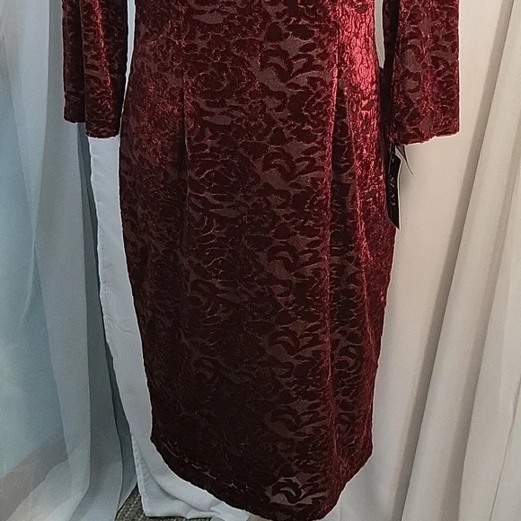 SLNY Deep Red Velvet Dress - Picture 3 of 7